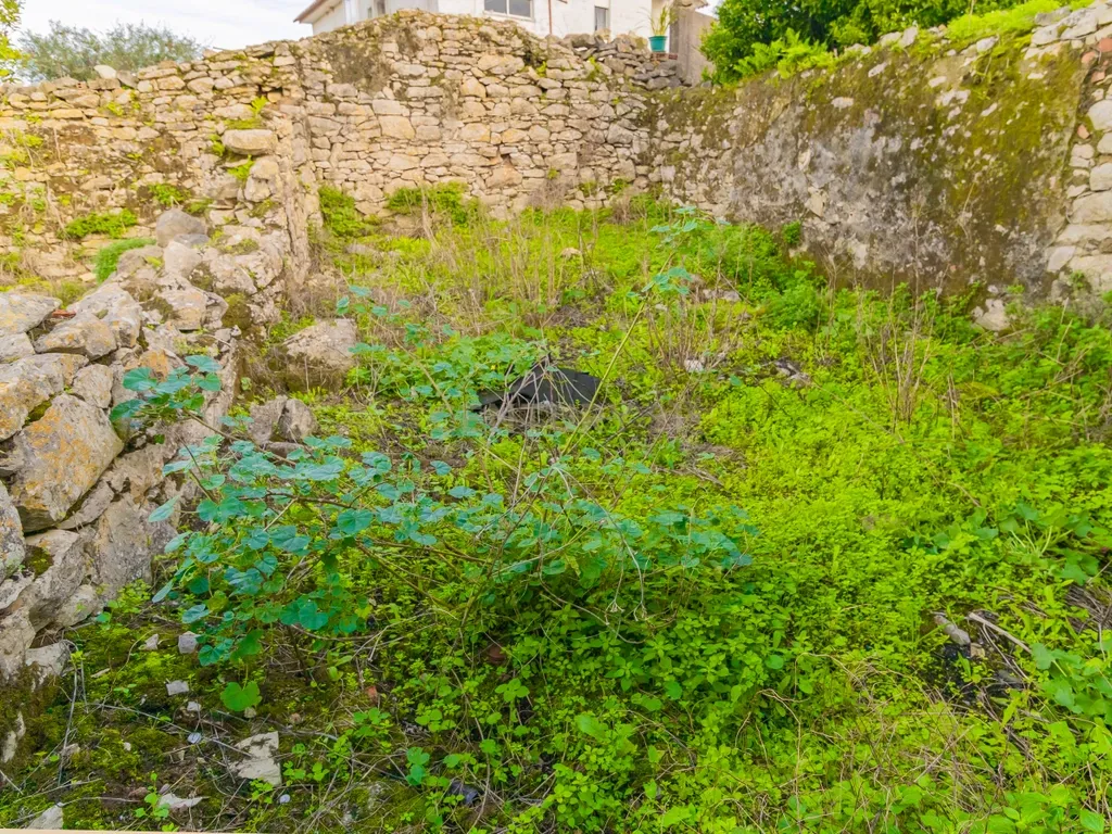 Ruína para Venda no Carvalhal de Ajubarrota - Image 17