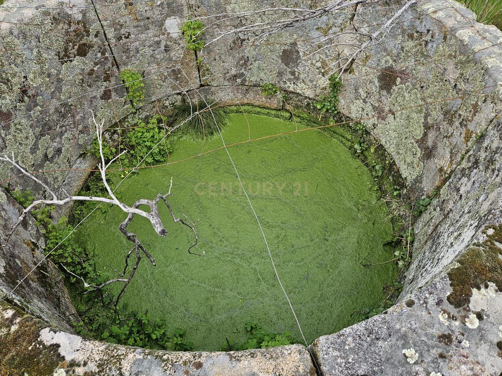 Quintinha na Lousa, Castelo Branco - Image 23