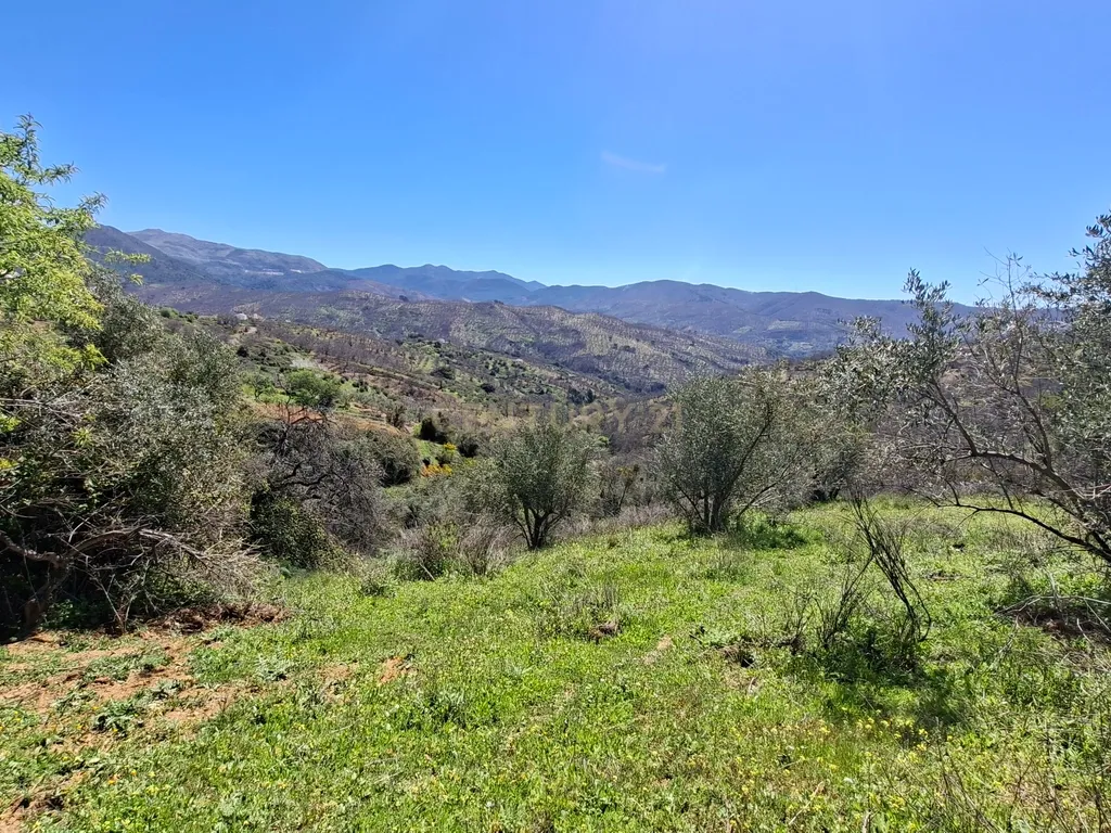 Moradia geminada de gaveto, com orientação sul, vistas para a montanha e duas propriedades rústicas com oliveiras, vinhas e castanheiros, no coração do Alto Genal. - Image 20