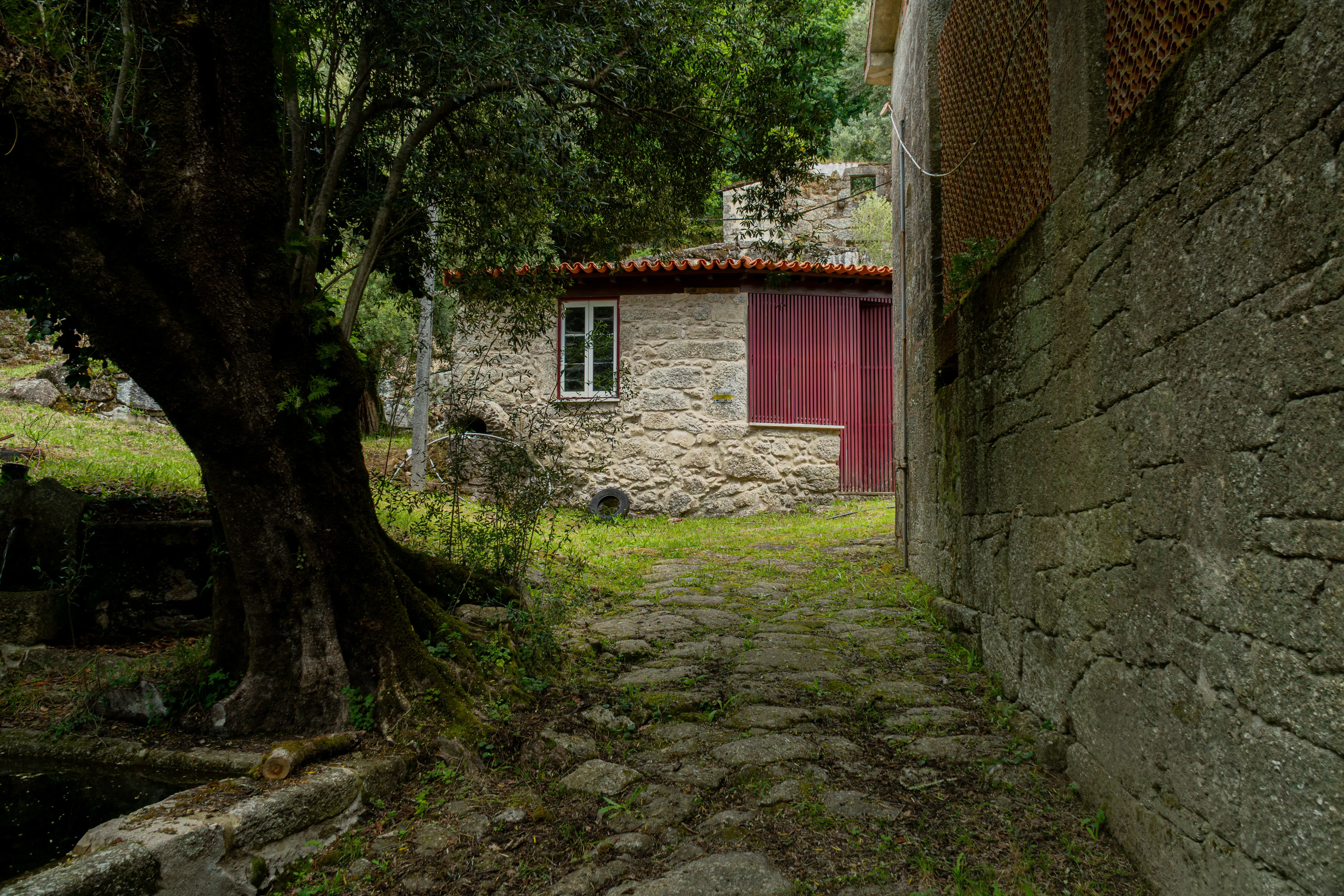 Fotografia 4 de Quinta dos Sonhos em Braga: 10 Hectares de História, Natureza e Potencial Turístico Inigualável