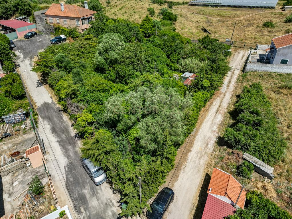 Terreno à Venda em Vale de Almornos – 1.000 m² de Natureza, Potencial e Tranquilidade! - Image 22