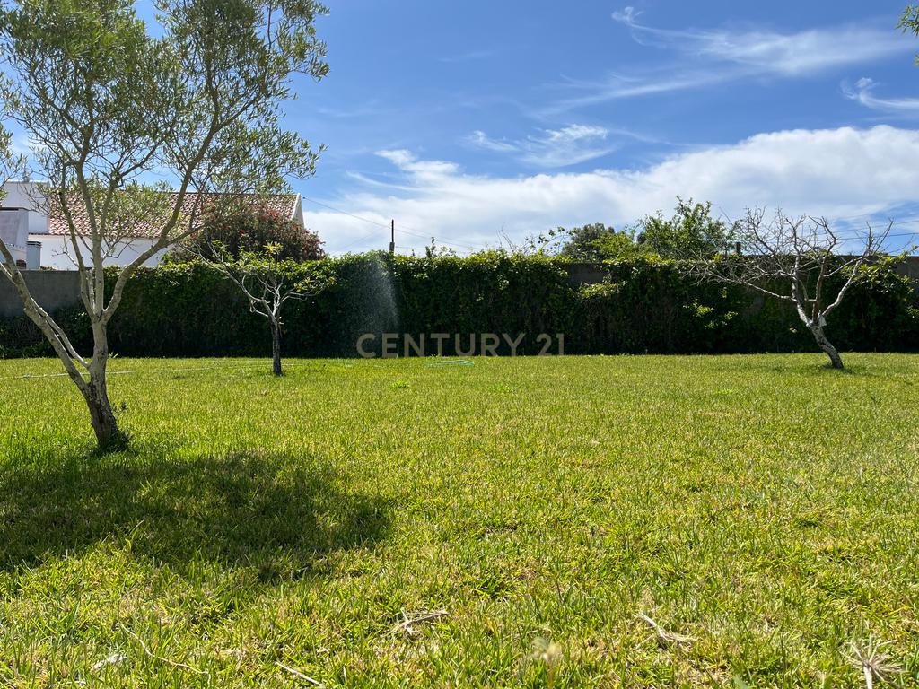 Hotel de Charme no Alentejo – Santiago do Cacém - Image 46