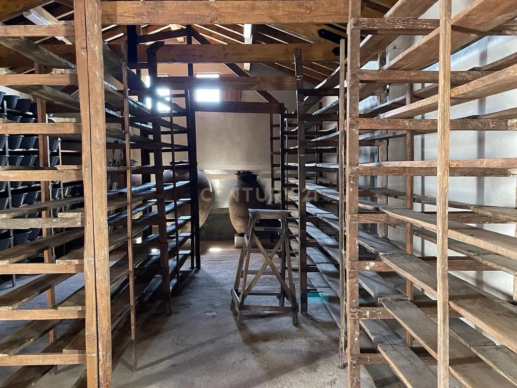 Imóvel Único à Venda – Fábrica da Ameixa de Elvas - Image 40
