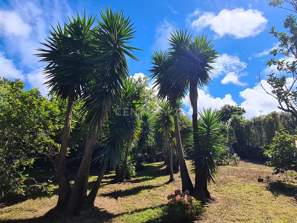  Country House em São Miguel, Açores: Refúgio Privado de Charme com piscina e quinta - Image 77