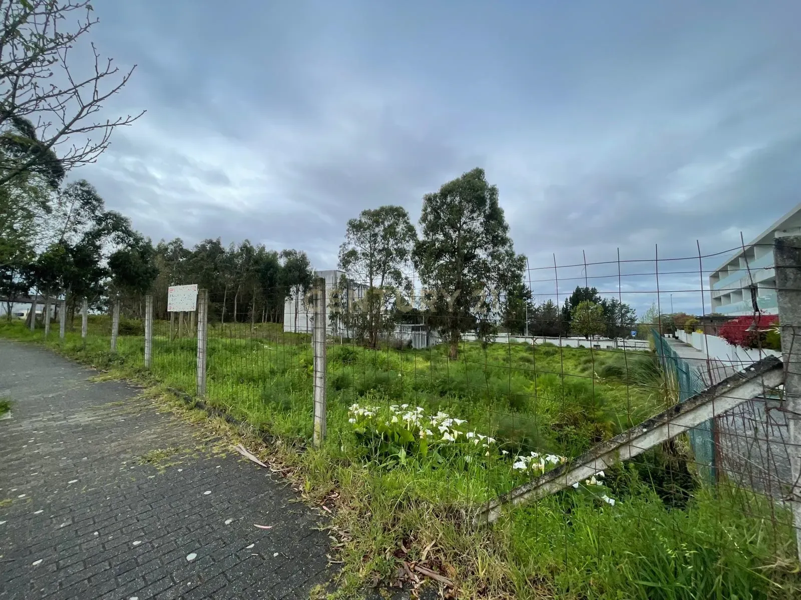 Lote para construção em Milheirós-Maia - Image 3
