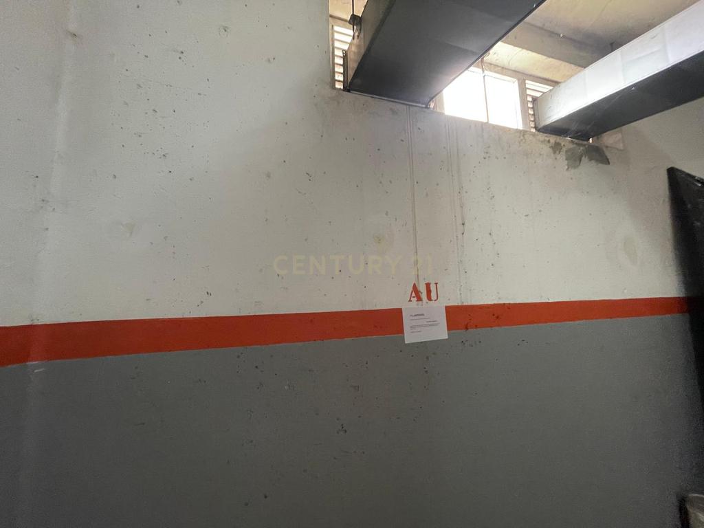 T1+1 em Canelas - Image 18