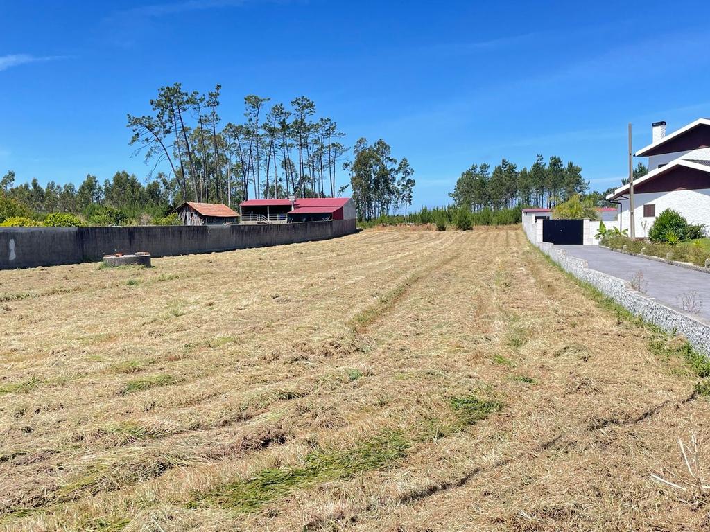 Terreno  para construção -Grou-Guia-Pombal - Image 9