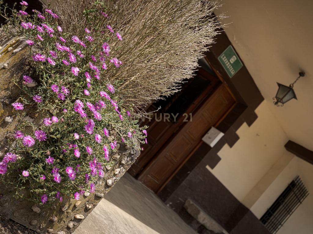  - Image 7