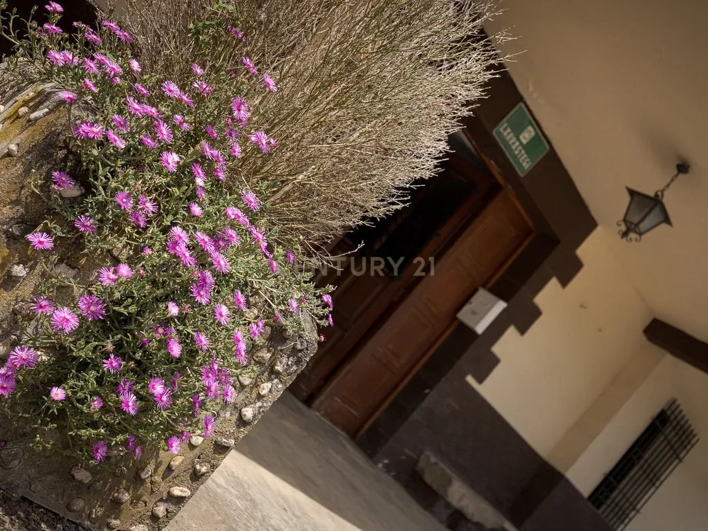 - Image 7