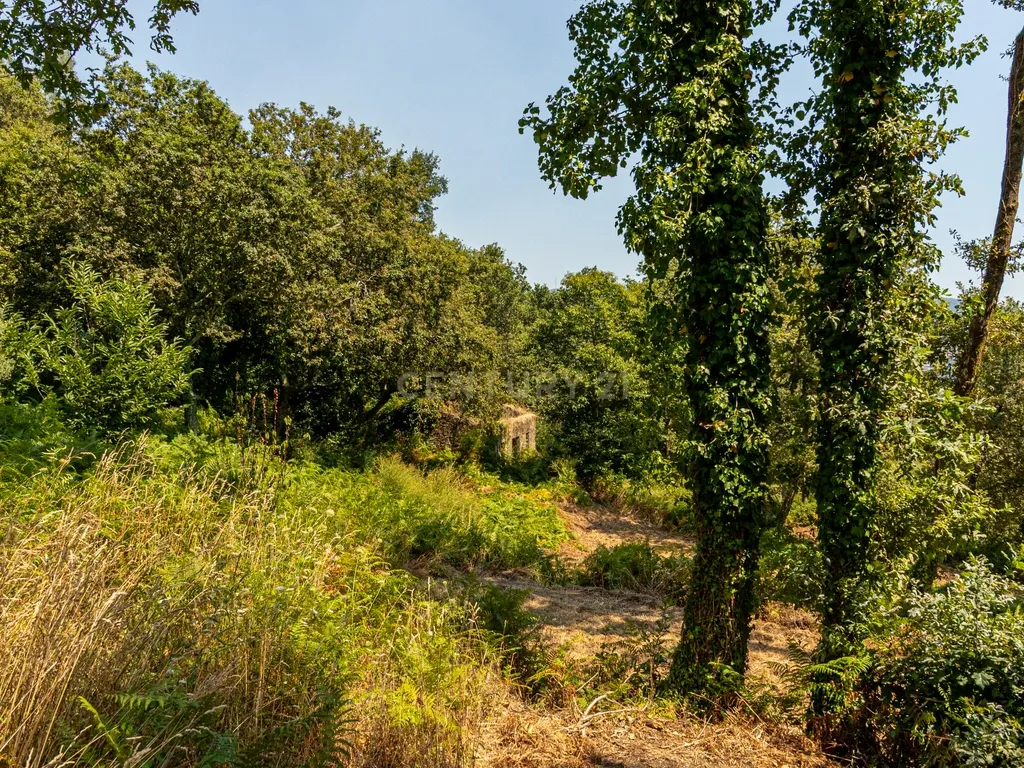 Quinta para reconstrução , em Anais, em Ponte de Lima – a vila mais antiga de Portugal. - Image 38