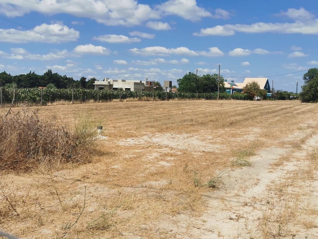 Terreno com projeto aprovado em Palmela com Vista Panorâmica - Lau - Image 3