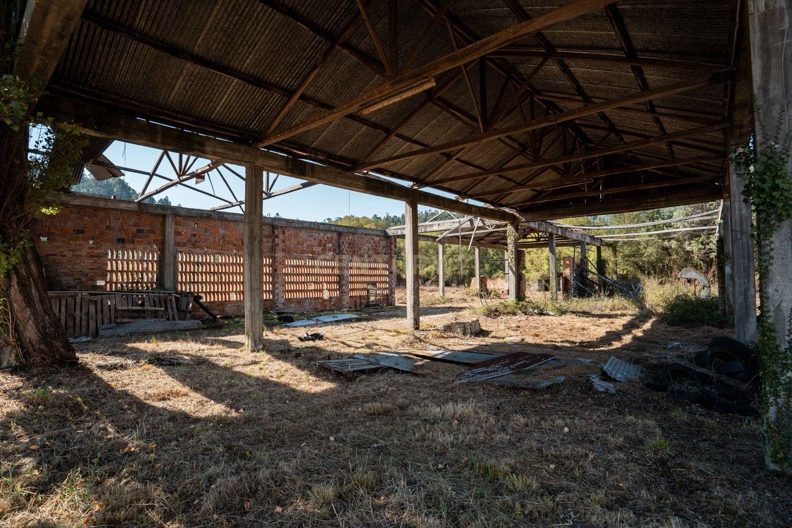 Fotografia 9 de Terreno  9.000m2 + Armazém em Miranda do Corvo, Coimbra