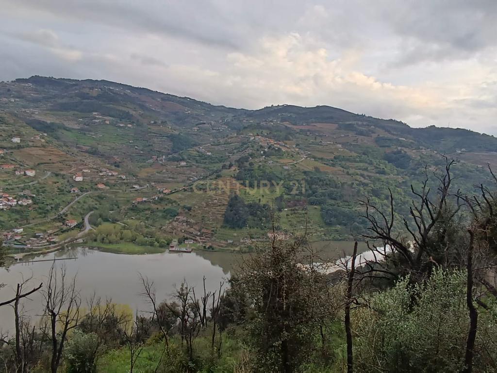 Terreno florestal com vista para a praia fluvial de Porto de Rei em Barqueiros, Mesão Frio às portas do Douro - Image 39