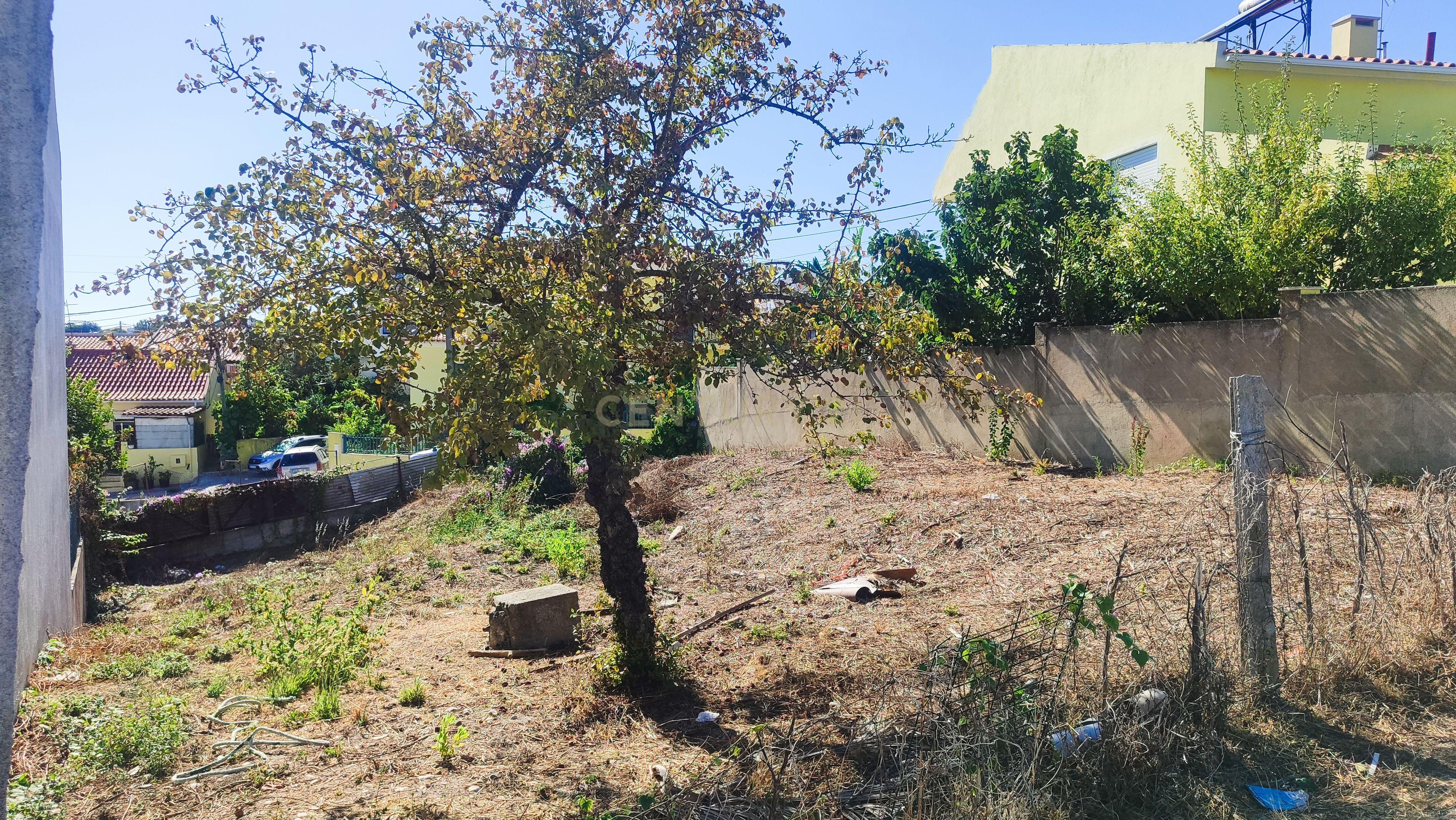 Fotografia 10 de Terreno Urbano para Construção – Charneca de Caparica | Almada