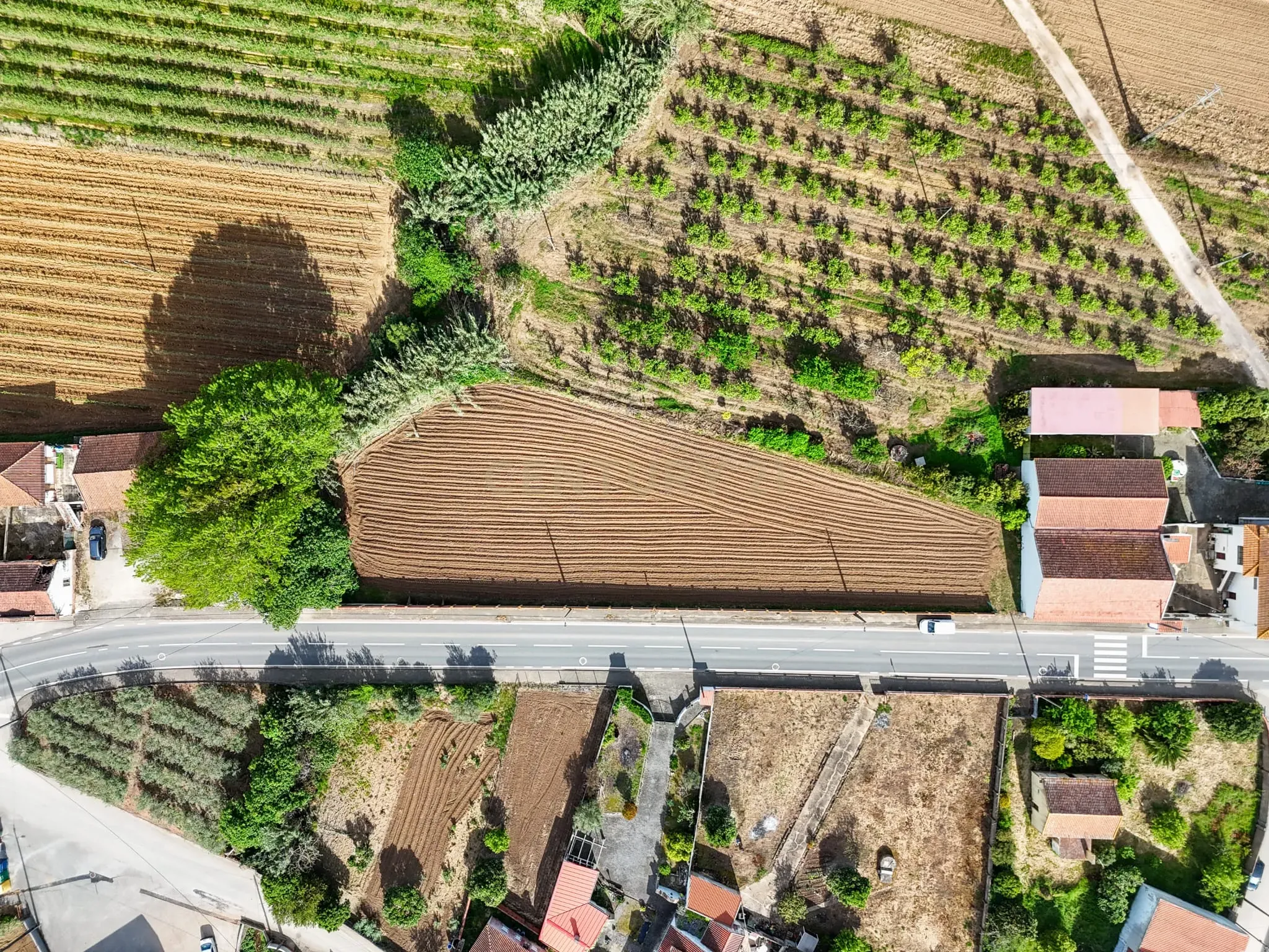 Fotografia 11 de Terreno com 2150 metros na Aldeia Grande, Maxial