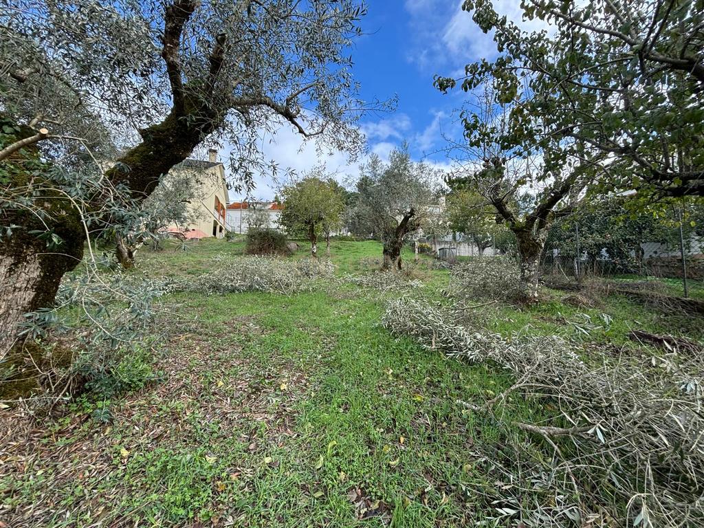 Moradia em ruína para recuperação em Pombal, Leiria - Image 22