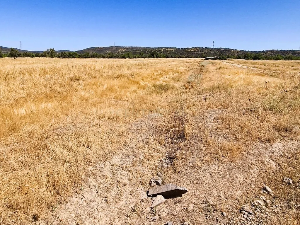 Terreno Rústico com Grande Potencial Agrícola – 7.800 m² em Paderne, Albufeira - Image 6
