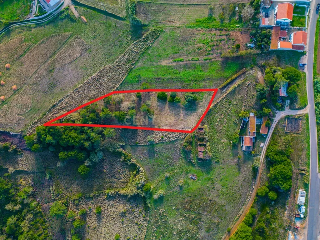 Terreno na Nazaré - Image 3