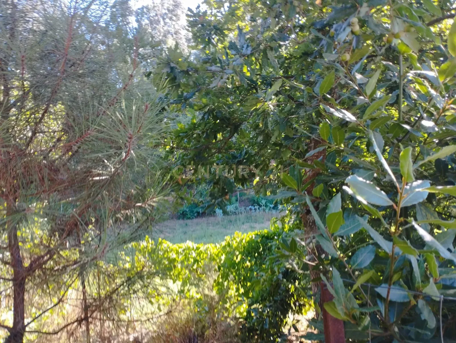 Fotografia 9 de Terreno com anexo para construção de um condomínio privado de 5 moradias unifamiliares na Várzea, Santo Tirso, Porto