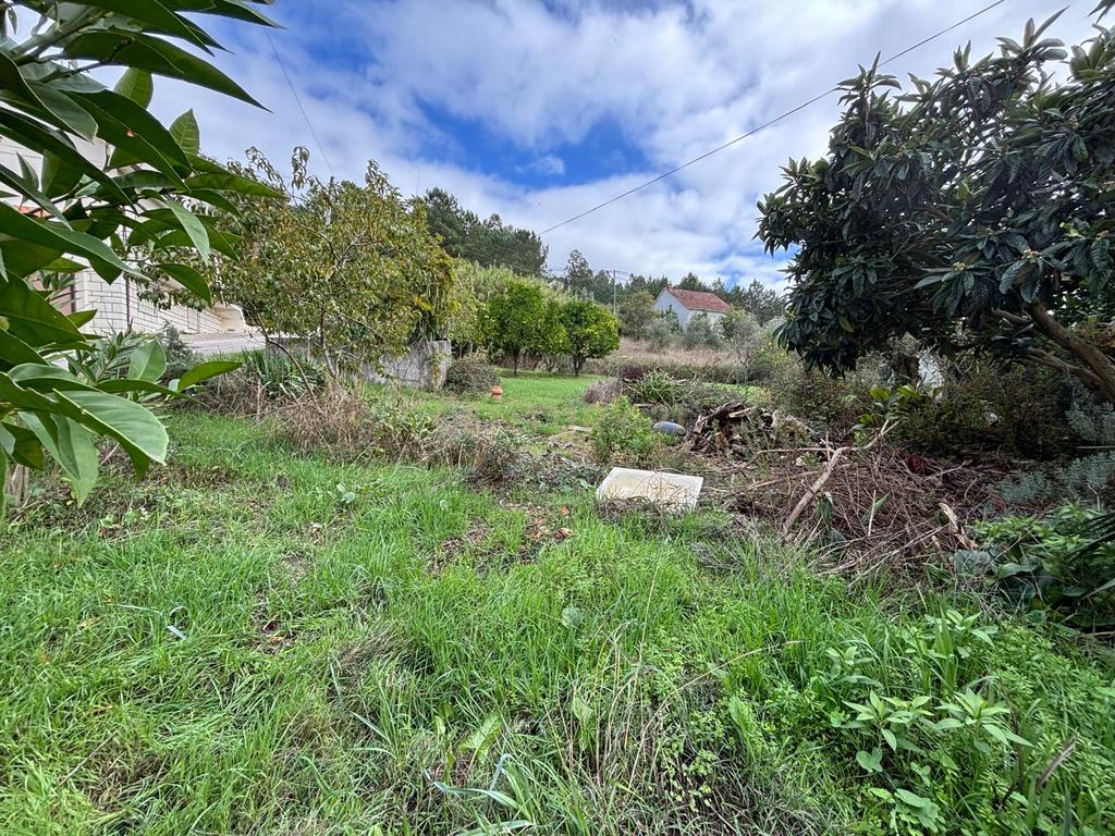 Moradia em ruína para recuperação em Pombal, Leiria - Image 23