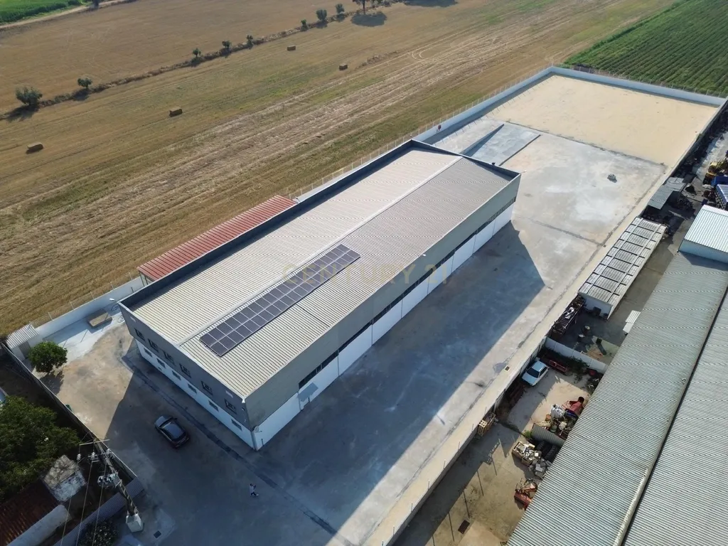 Armazém Industrial para Arrendamento – Riachos, Torres Novas - Image 35