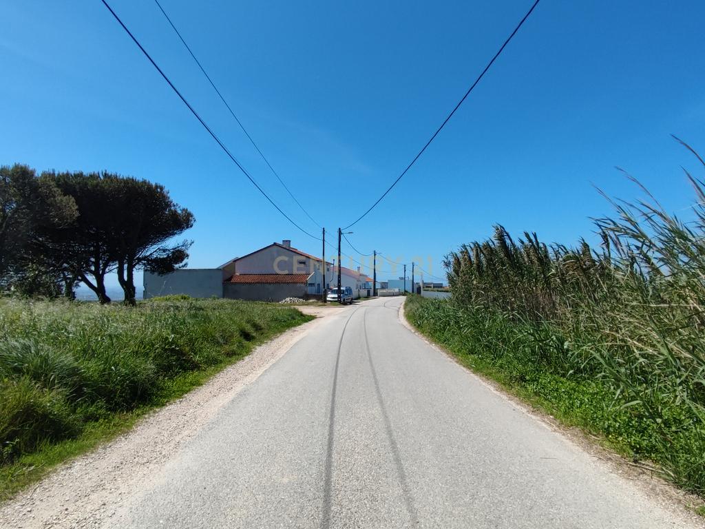 Terreno na Nazaré - Image 9