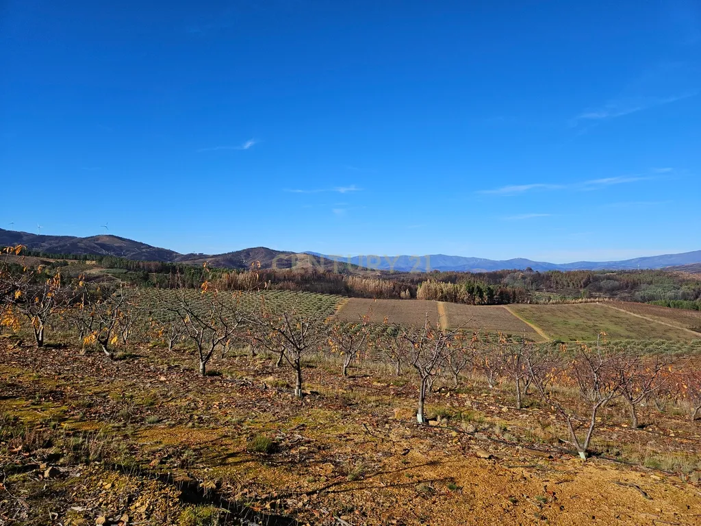 Quinta de Excelência Agrícola na Região Premium do Fundão: 32 ha de Alta Produtividade - Image 4