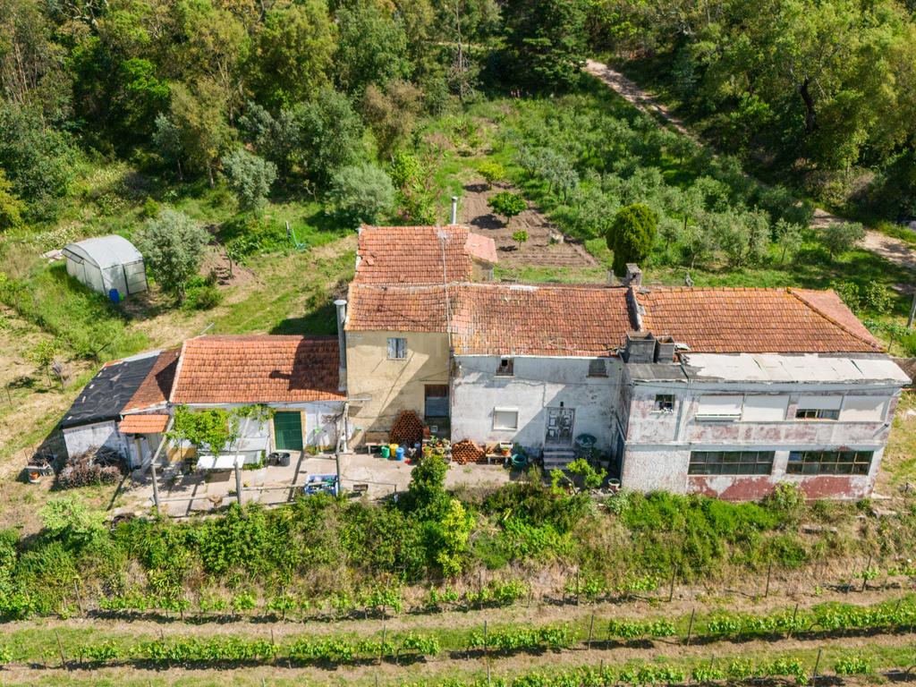 Quinta com 8 hectares com potencial para construção – Antanhol - Coimbra - Image 4