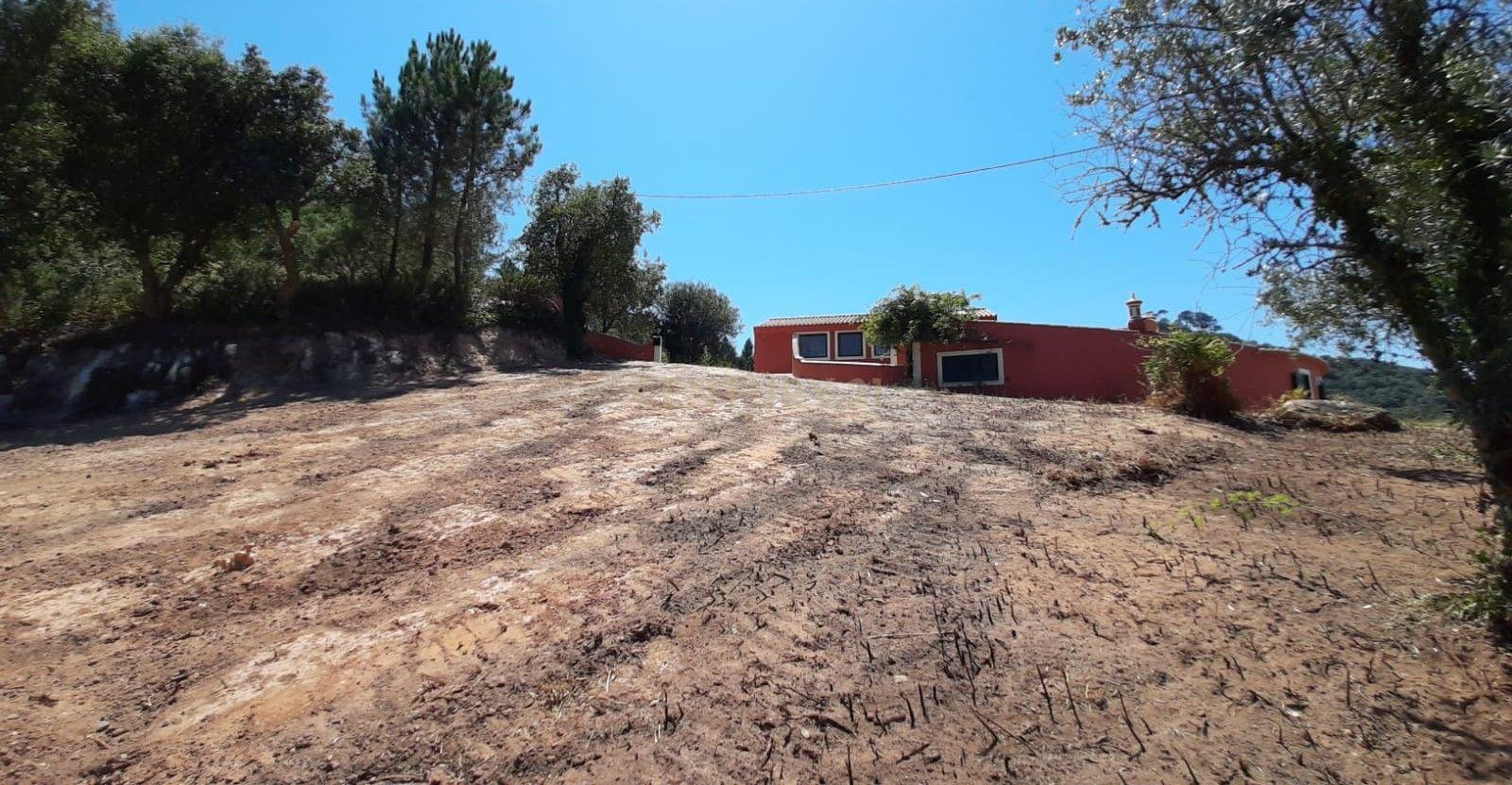 Fotografia 3 de Terreno com projeto aprovado de Moradia Isolada T3 - Picão