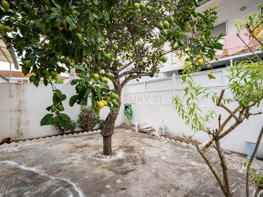 Apartamento T3 Transformado em T2 - Logradouro e Garagem BOX - Junto ao Tribunal e Parque Municipal - Montijo - Image 19