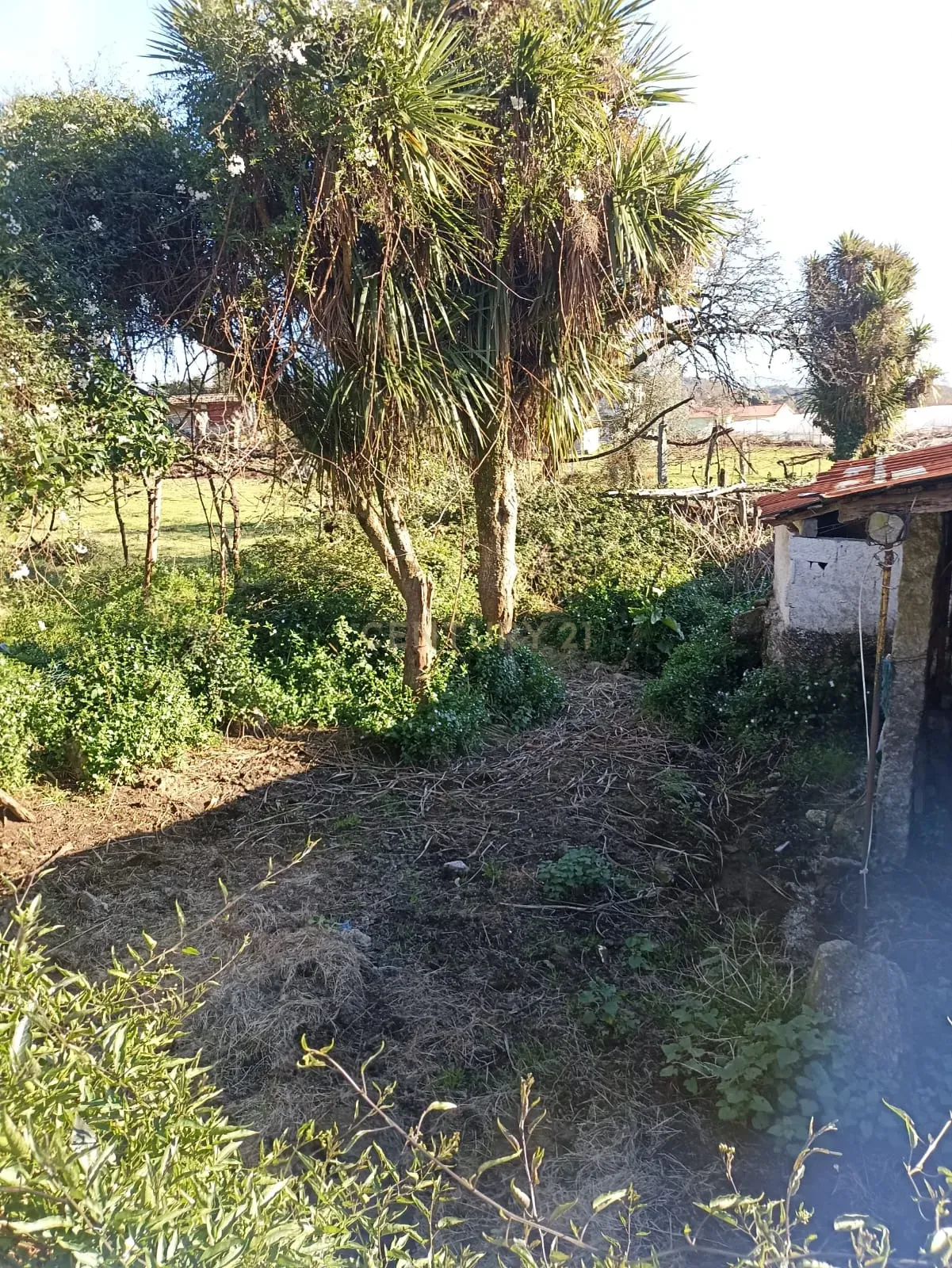 Moradia T3 à venda em Serzedelo, Póvoa de Lanhoso — foto 8