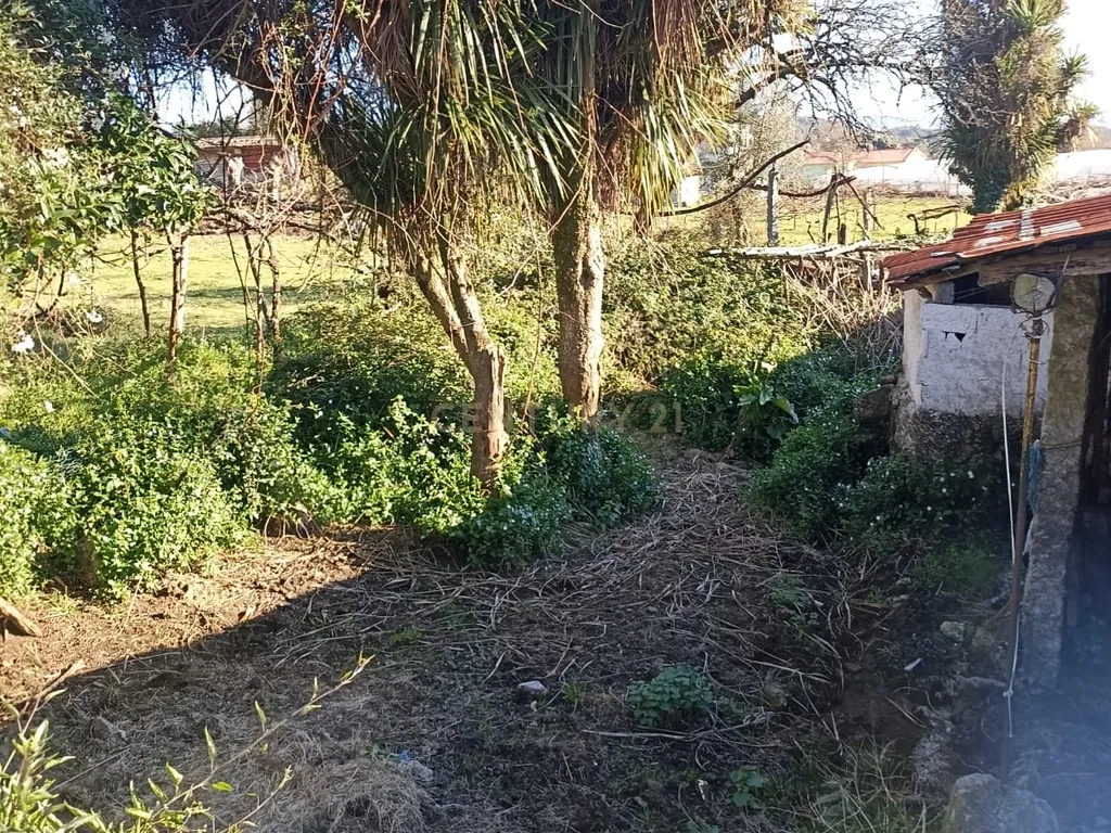 Quintinha Única com 6000m² de Terreno Construtivo – Serzedelo, Póvoa de Lanhoso - Image 8