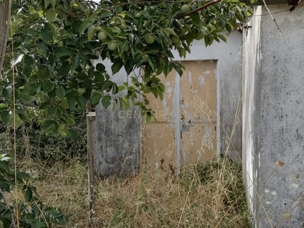 Terreno Agrícola em Gavião, Portalegre - 2500m² com casa - Image 15