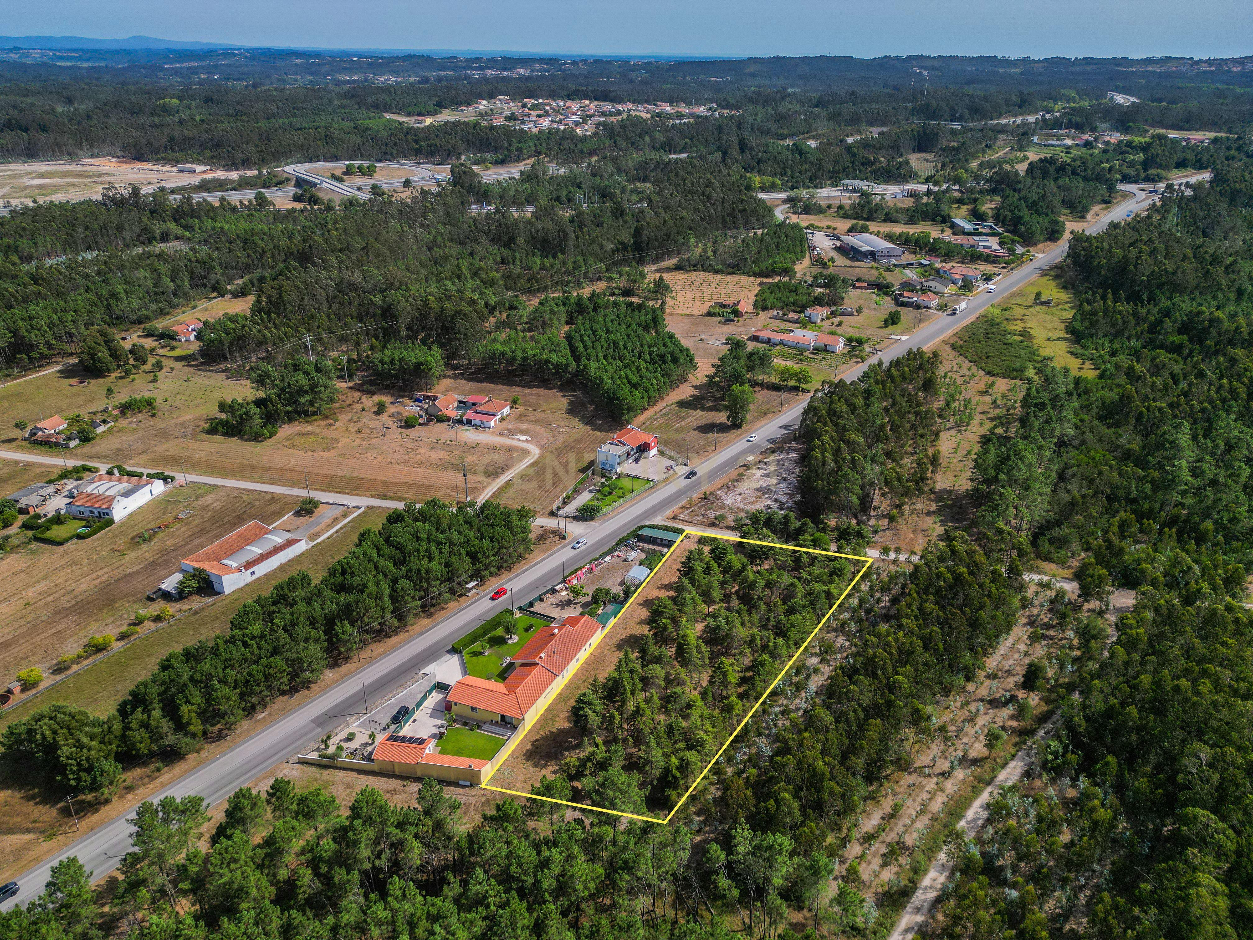 Fotografia 8 de Terreno com cerca de 3.300 m² em zona de pinhal, em Casal Novo, Quiaios – Figueira da Foz