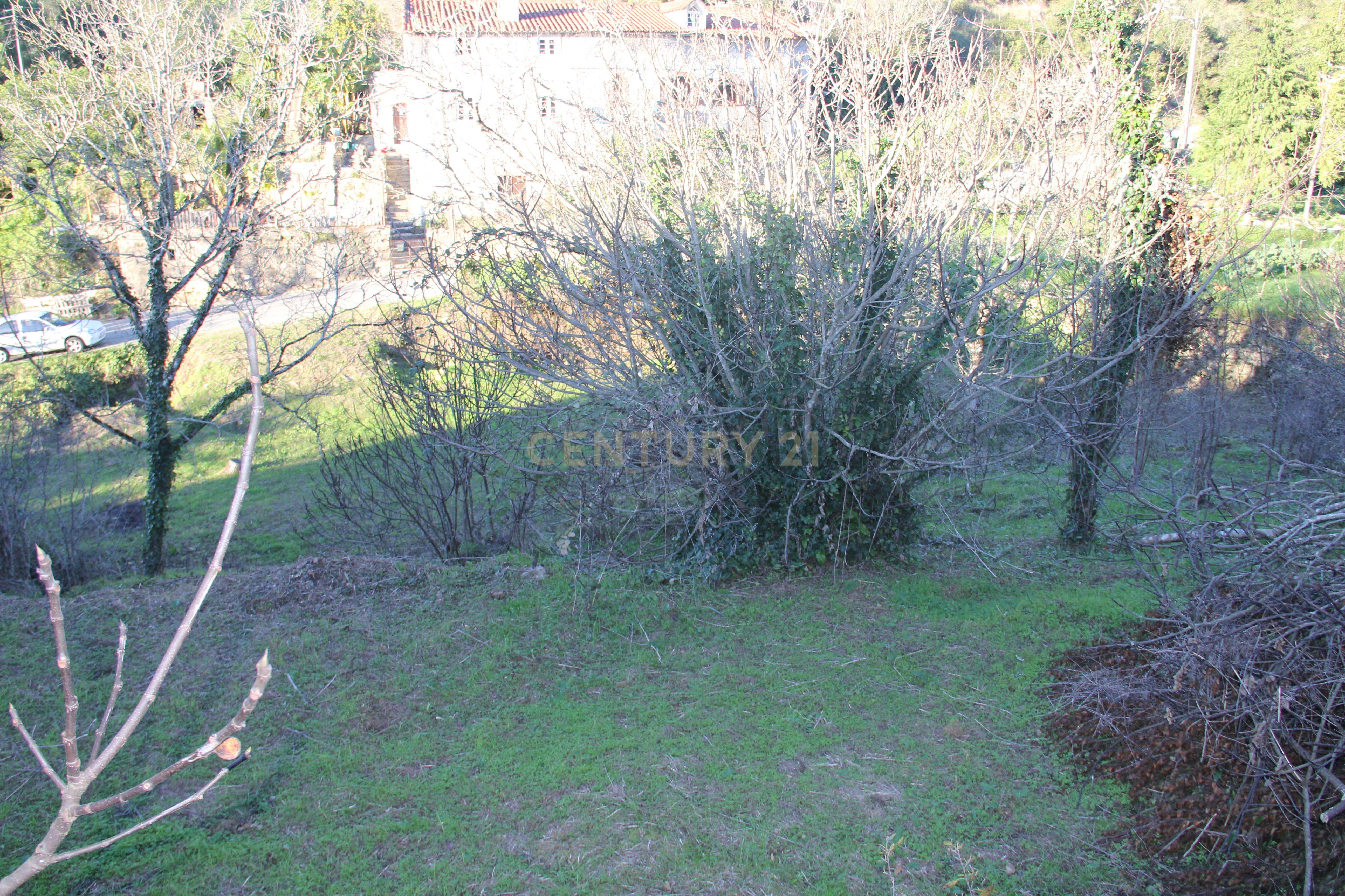 Fantástico terreno para moradia - Image 19
