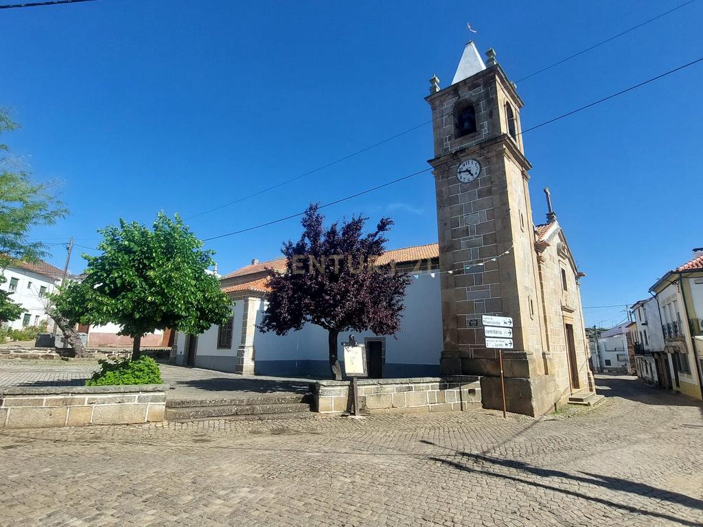 Terreno em Alcafozes, Idanha a Nova com Vista e Árvores de Fruto - Image 20