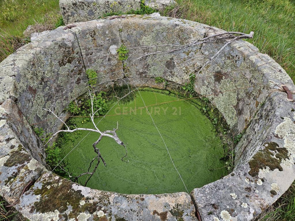 Quintinha na Lousa, Castelo Branco - Image 21