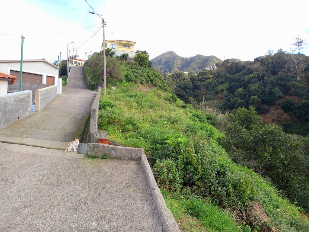 Terreno agrícola - Maiata - Machico - Image 6
