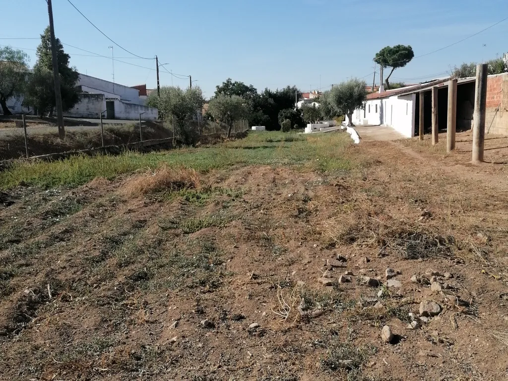 ALBERNOA-BEJA - ALENTEJO- Quinta com 1750 m2. Casa de 229 m2 Cozinha-Sala -3 quartos . Garagem. - Image 40