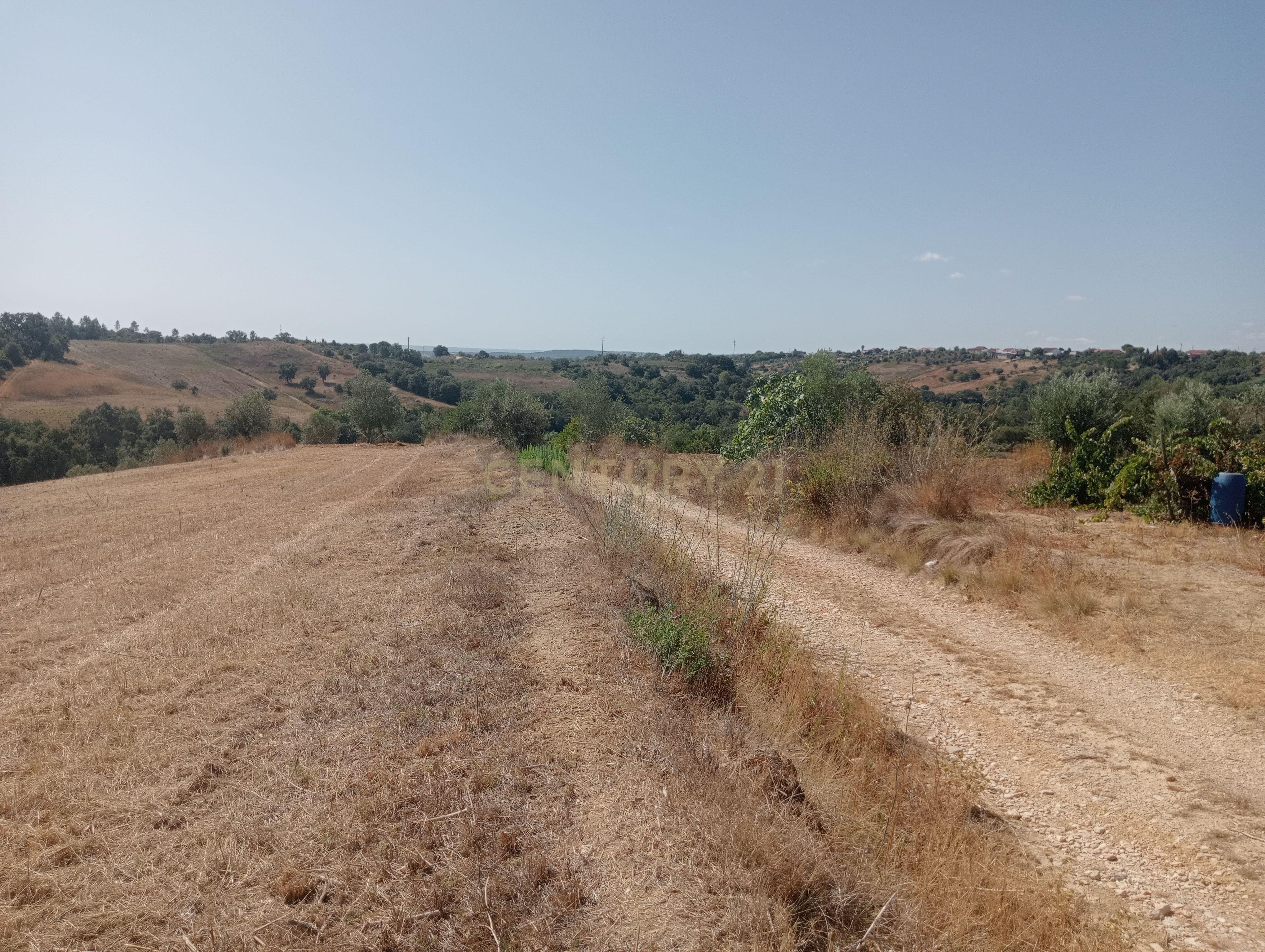 Fotografia 5 de Terreno Agrícola em Brogueira, Torres Novas - 13640m²