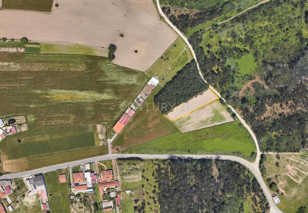 Terreno  em Vagos - Oportunidade Única - Image 2
