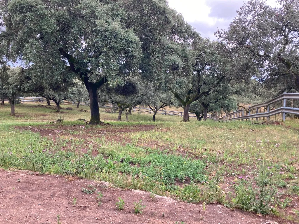 Herdade da Pedra Longa — Um Património Único no Coração do Alentejo - Image 26