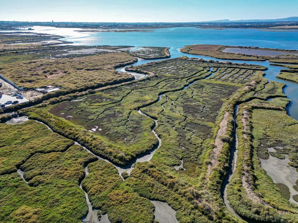 Terreno 20,18ha, Montijo - Seixalinho, para actividades de piscicultura e agricultura - Image 28