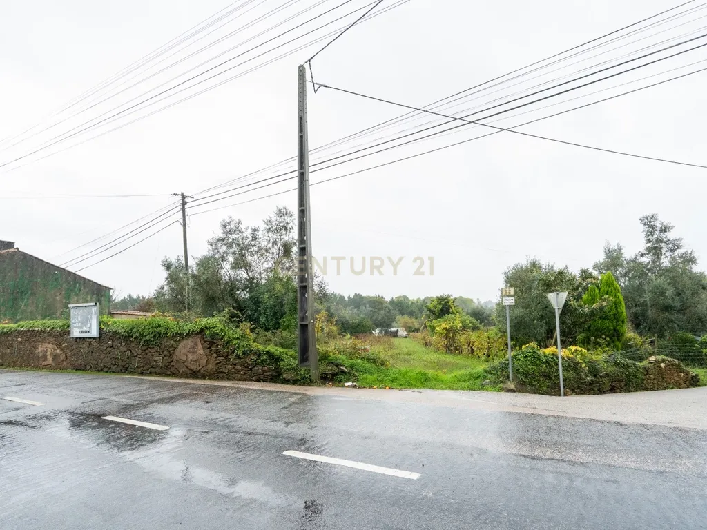 Terreno urbano, 1.344m² Pinheiro- Vila Nova de Poiares - Image 5