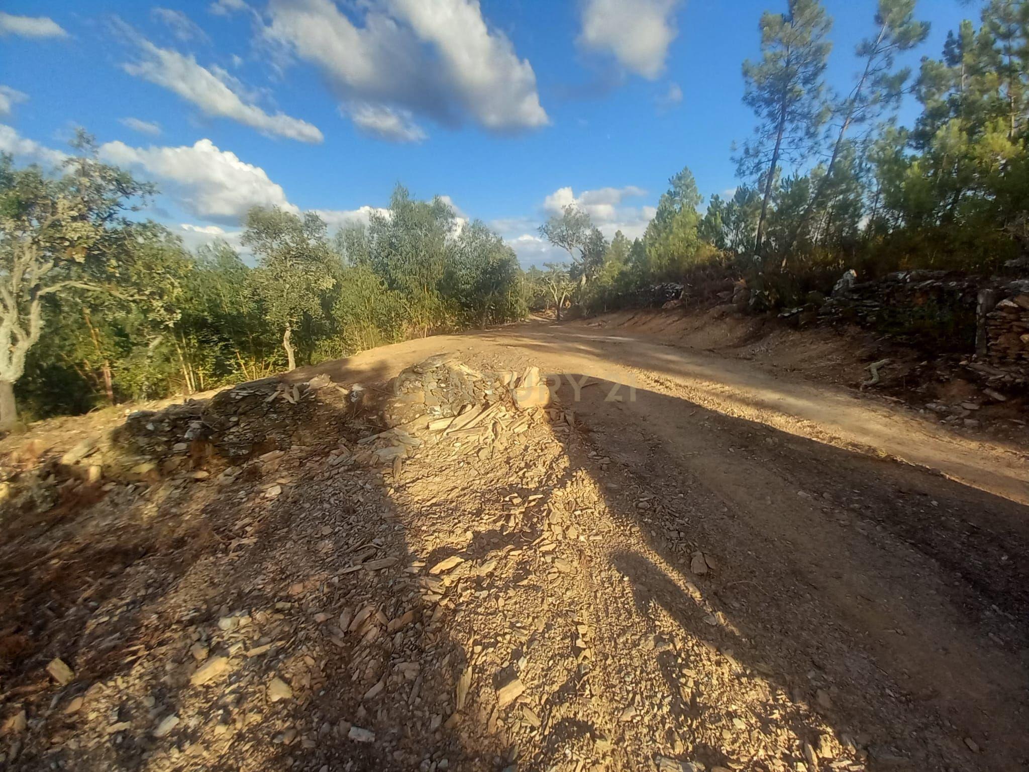 Fotografia 11 de Terreno em Benquerenças, Castelo Branco - 2800m²