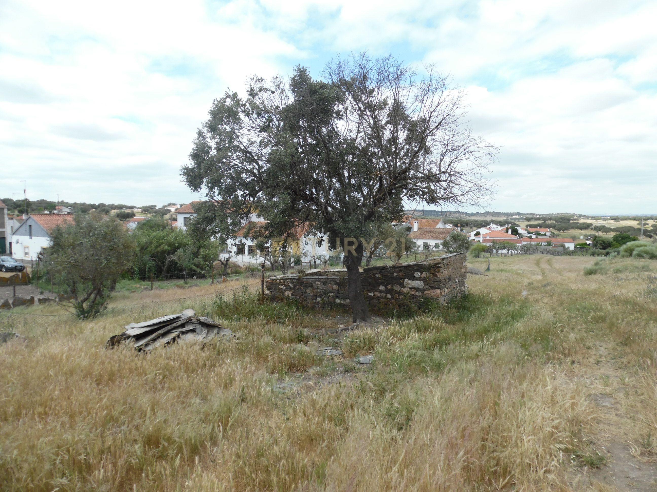 Fotografia 12 de Quinta em Capelins,  Alandroal - Évora,  Oportunidade Única
