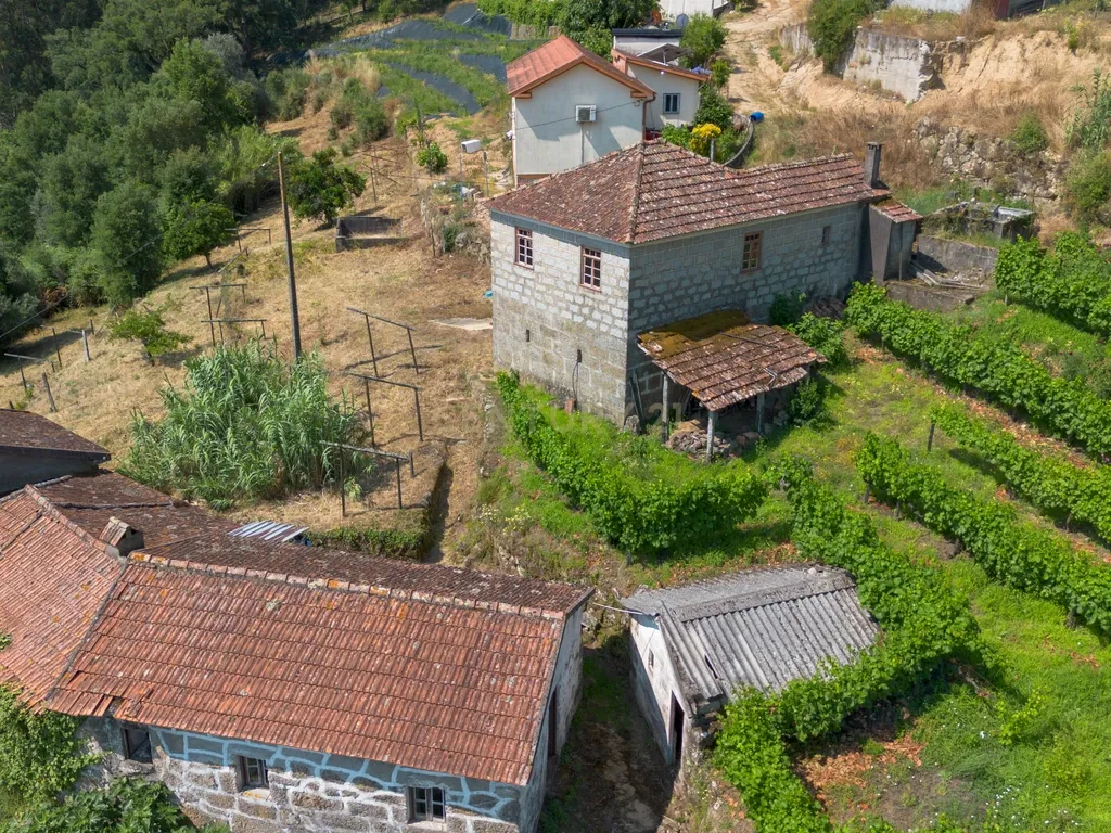 Quintinha com 2 casas em pedra para recuperar + 2 terrenos com vinhas-( 8.210m2 ) -Douro Vinhateiro! - Image 6