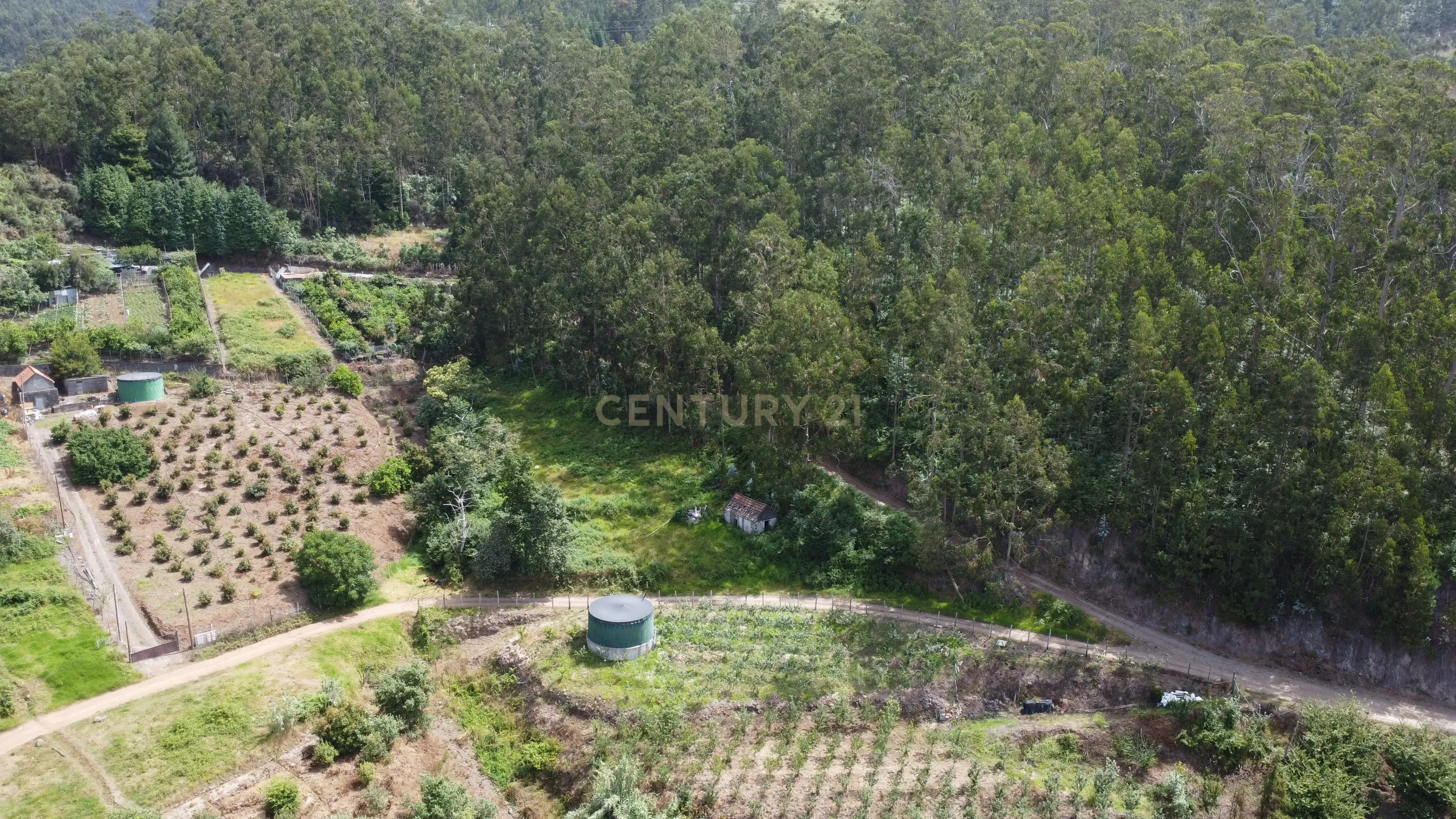 Fotografia 3 de Oportunidade Exclusiva na Madeira – Terreno com 3.796 m² nos Canhas, Ponta do Sol