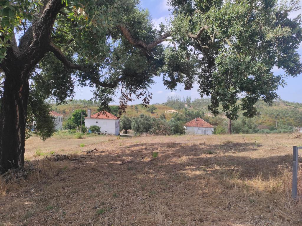 Terreno Urbanizável em Leão, Caranguejeira - Leiria - Image 5