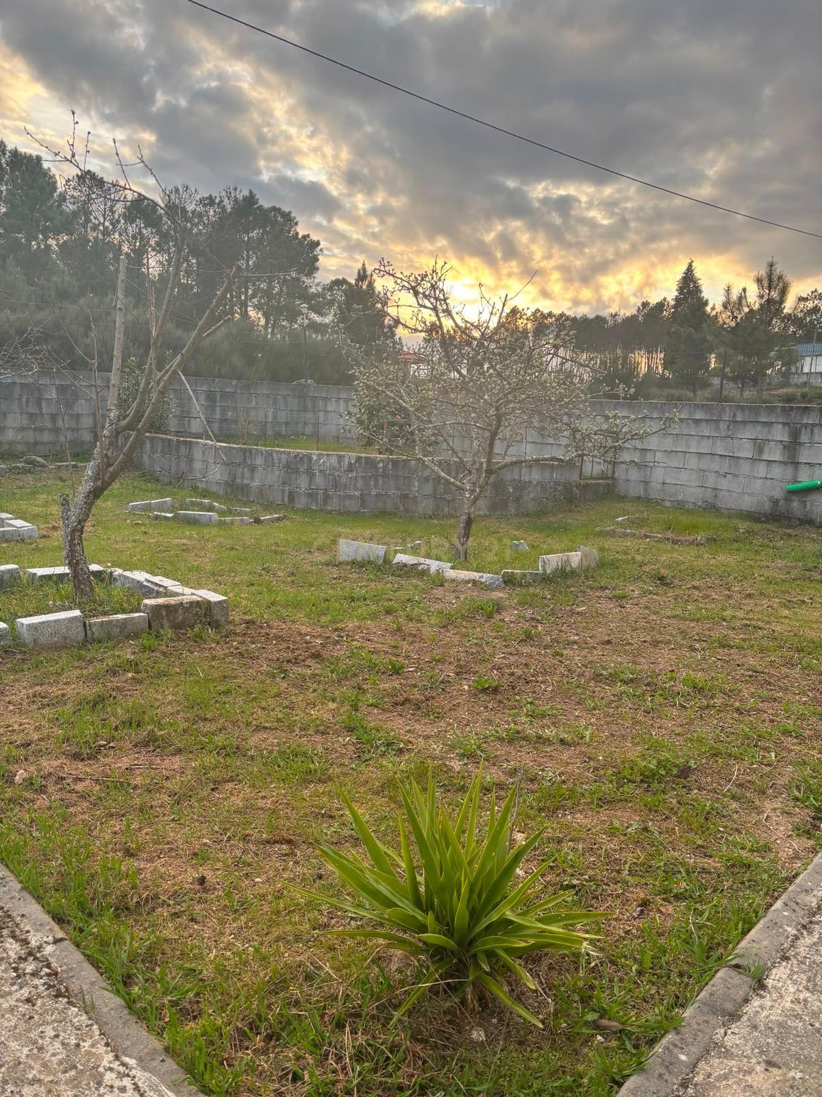 Fotografia 9 de Terreno na Quinta das Lameiras, com furo e vedado